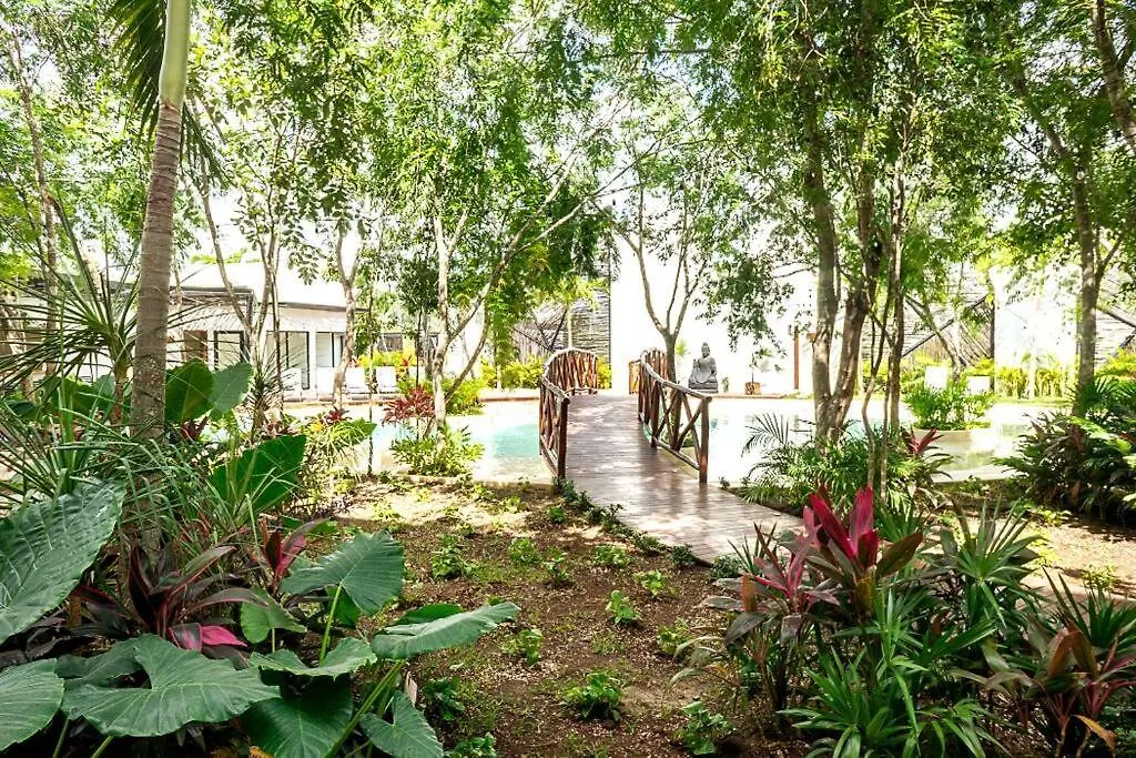 Apartment Dk31 Wifi 600Mb, Cheap Scooters By Moikkarentals Tulum Mexico